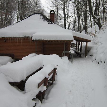 Quelle Polyana Polyana (Transcarpathia) Exterior photo