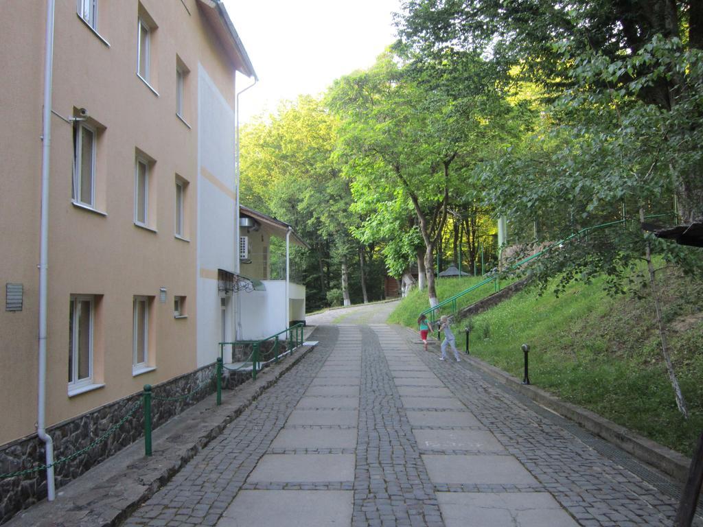 Quelle Polyana Polyana (Transcarpathia) Exterior photo