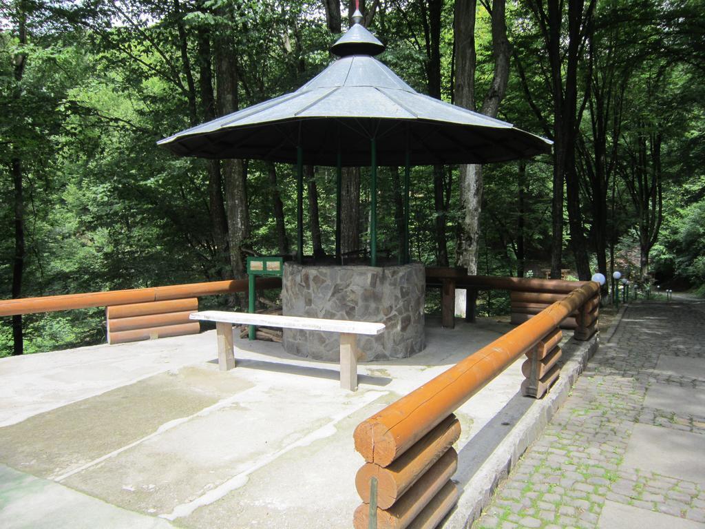 Quelle Polyana Polyana (Transcarpathia) Exterior photo