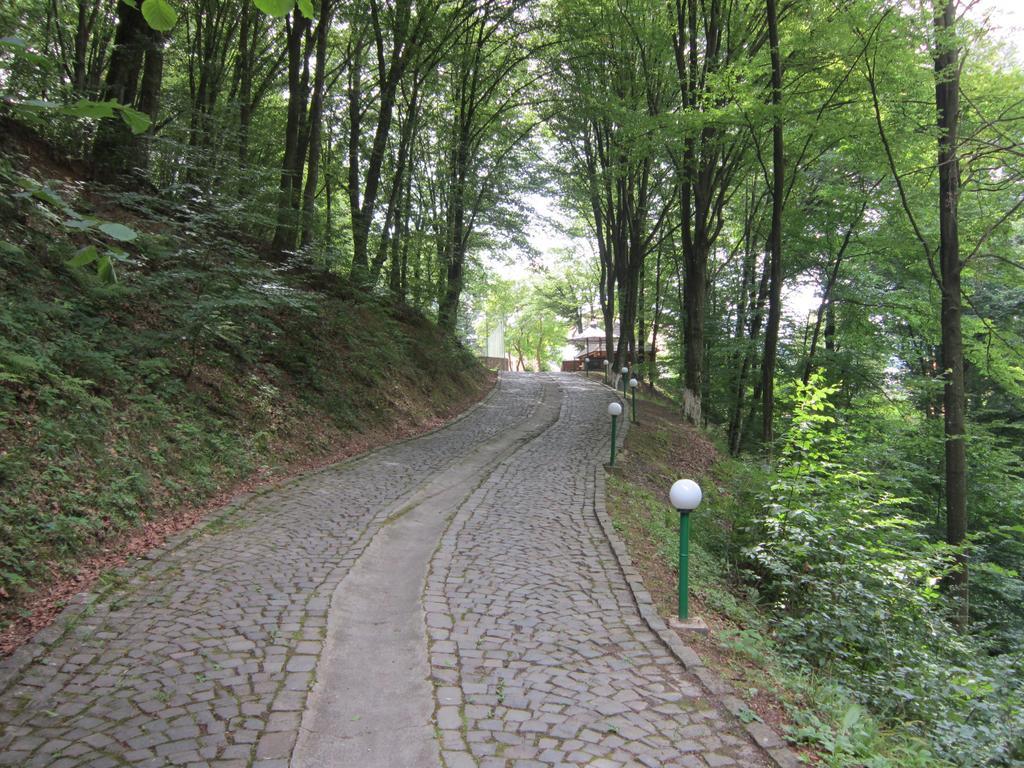 Quelle Polyana Polyana (Transcarpathia) Exterior photo