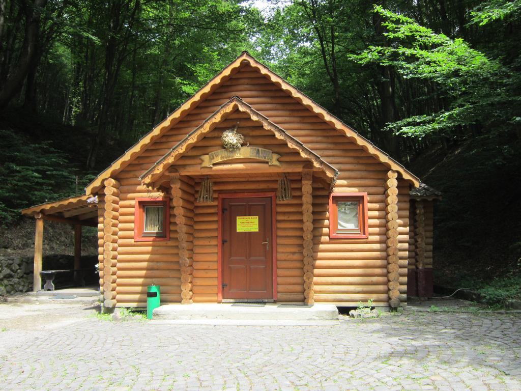 Quelle Polyana Polyana (Transcarpathia) Exterior photo