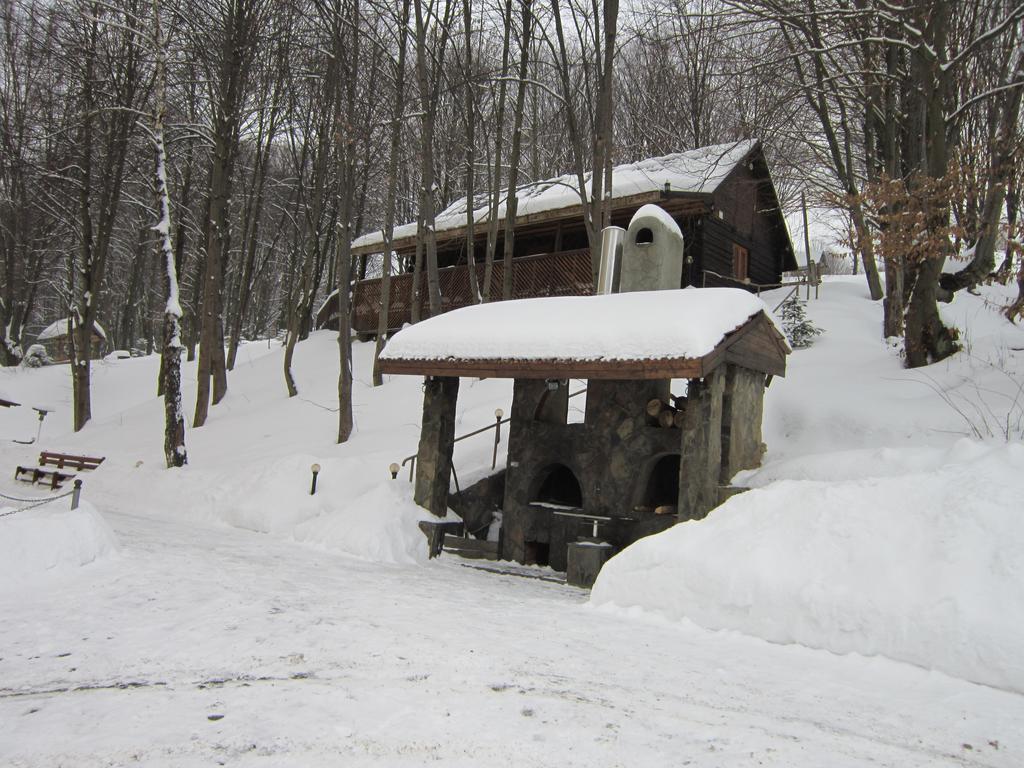 Quelle Polyana Polyana (Transcarpathia) Exterior photo