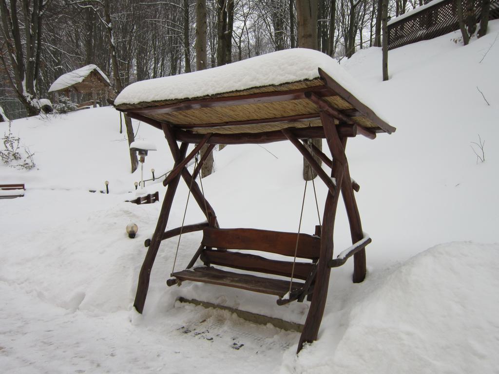 Quelle Polyana Polyana (Transcarpathia) Exterior photo
