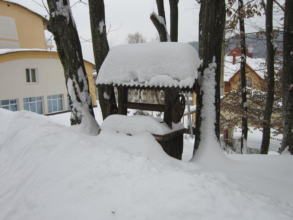 Quelle Polyana Polyana (Transcarpathia) Exterior photo