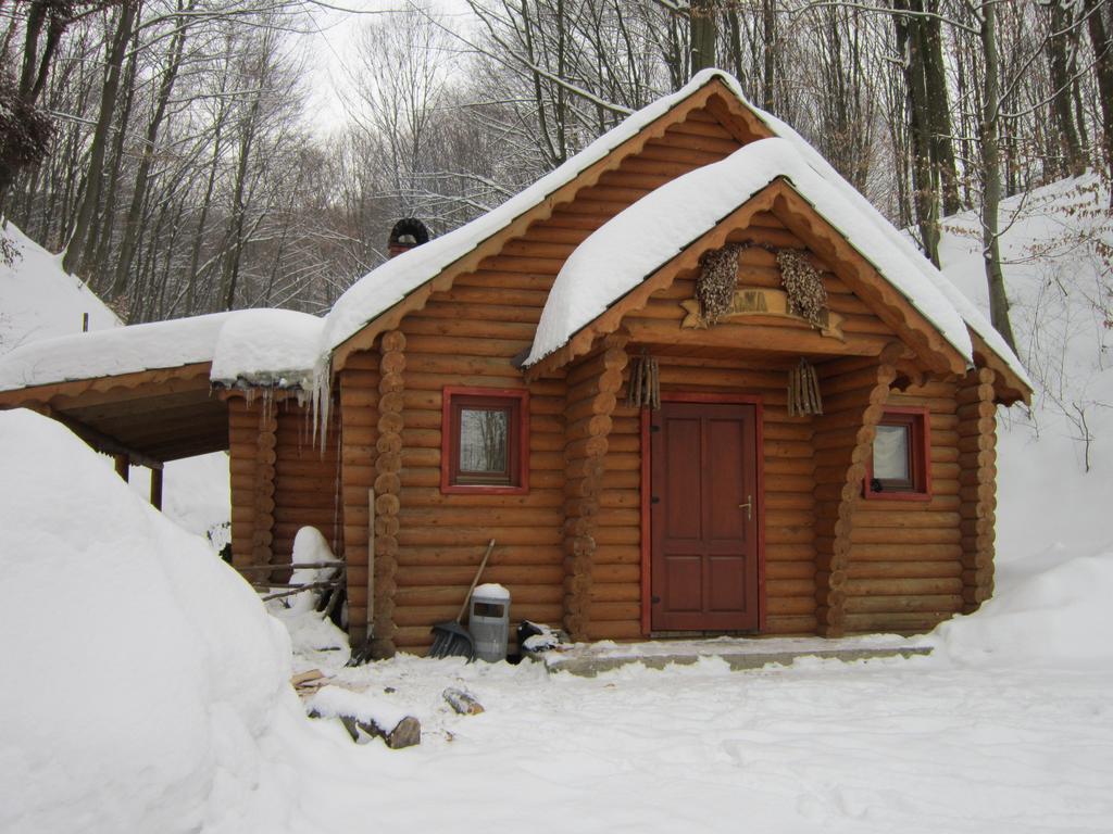 Quelle Polyana Polyana (Transcarpathia) Exterior photo