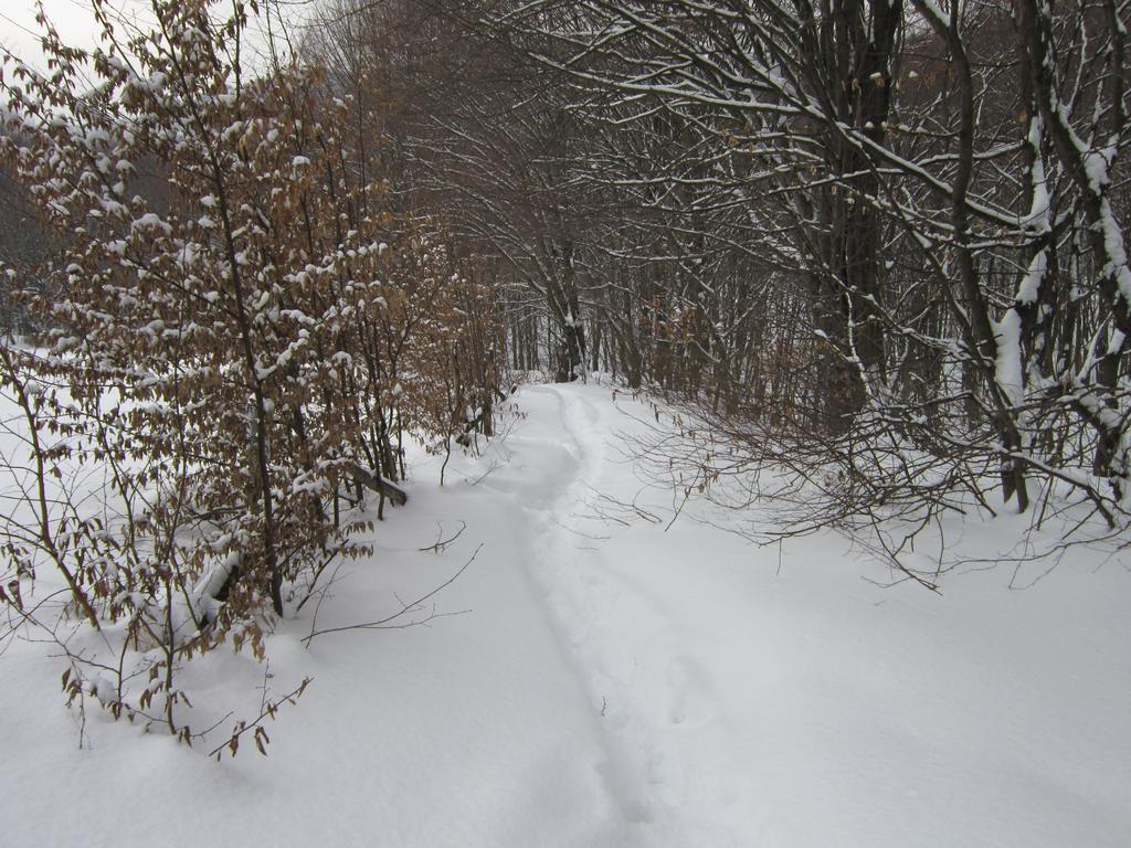 Quelle Polyana Polyana (Transcarpathia) Exterior photo