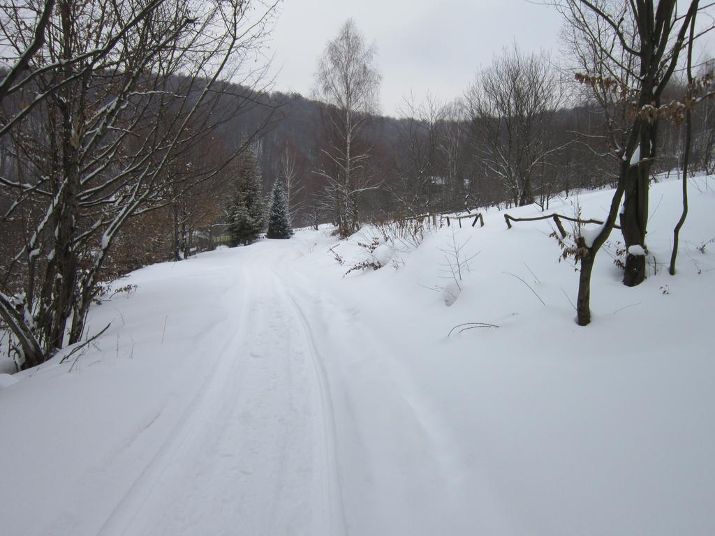 Quelle Polyana Polyana (Transcarpathia) Exterior photo